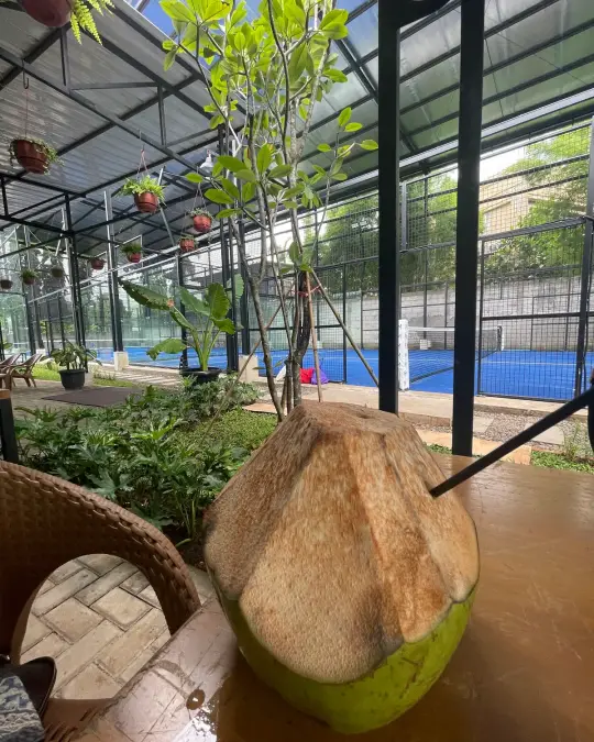 A coconut on the café table
